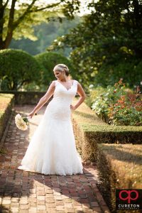A bride posing in teh rose garden at Furman during her bridal session.