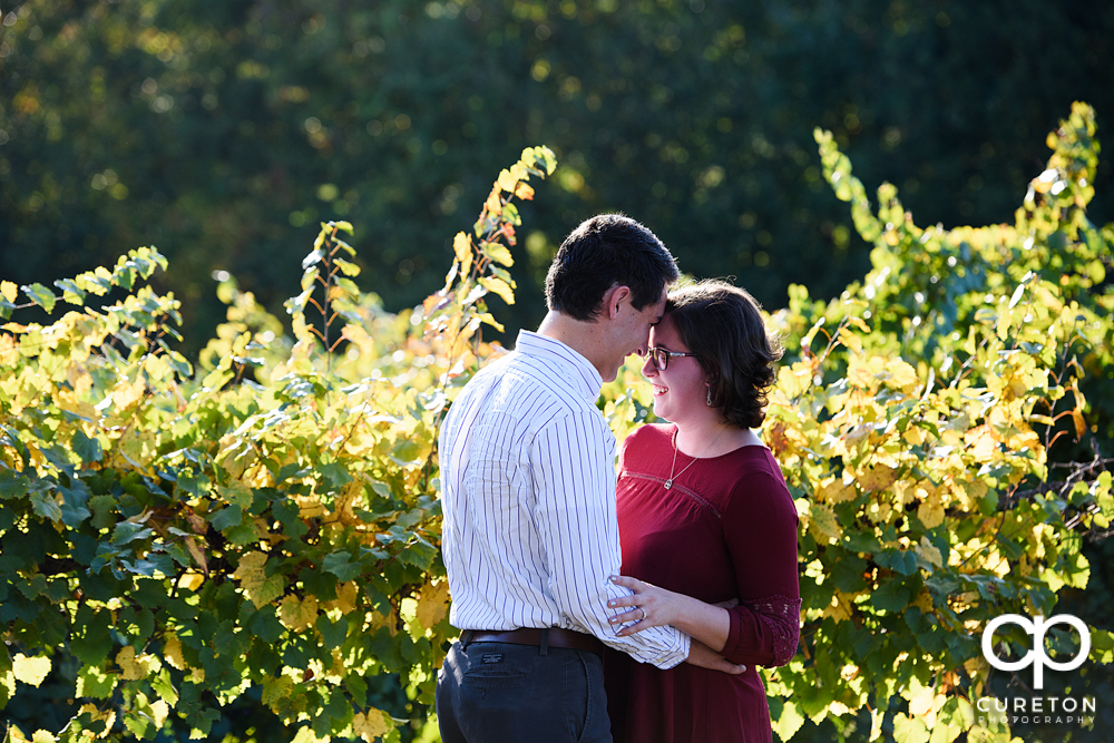Engaged couple in the vineyard at Greenbrier Farms.