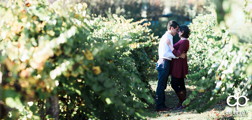 Rustic farm engagement session at Greenbrier farms near Greenville South Carolina.
