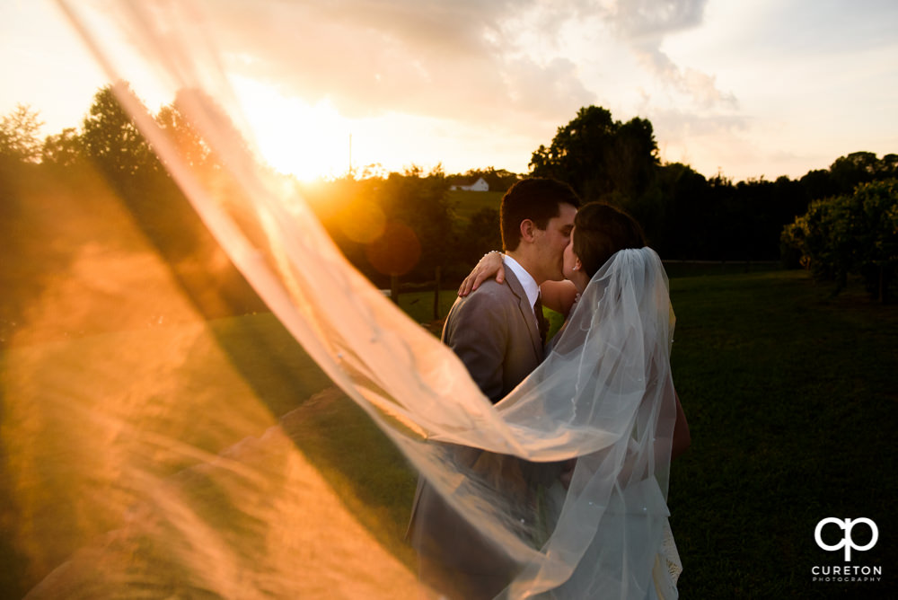 Bride and groom kissing at sunset after their indoor wedding at Greenbrier Farms in Easley SC.