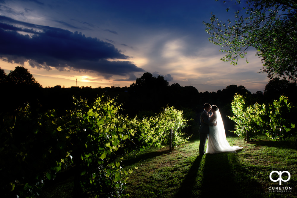 Bride and groom in the vineyard at sunset after their indoor wedding at Greenbrier Farms in Easley SC.