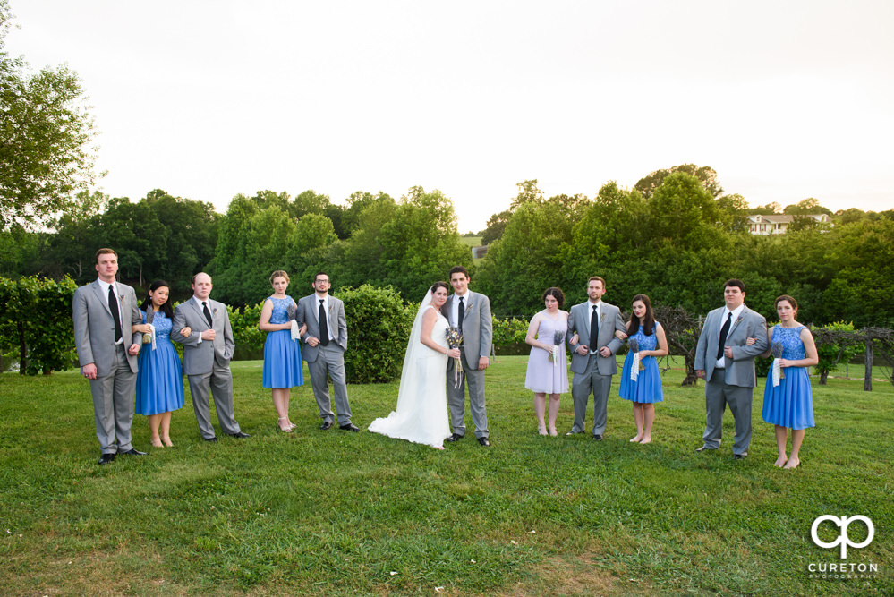 Wedding party in front of the vineyard at Greenbrier Farms.