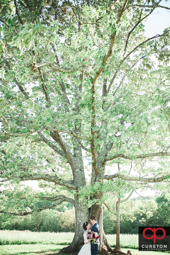 Bride and groom at the oak tree at Greenbrier farms inEasley,SC.