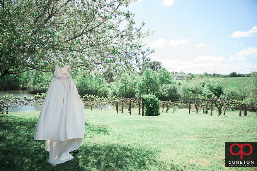Birdal dress on a tree.