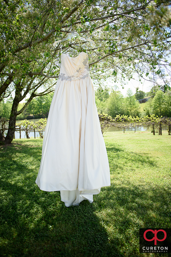 Bridal gown hanging on a tree at the farm.