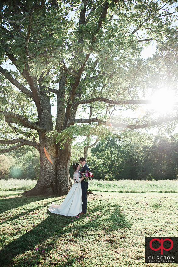 Epic bride and groom near the tree at Greenbrier farms after their wedding.