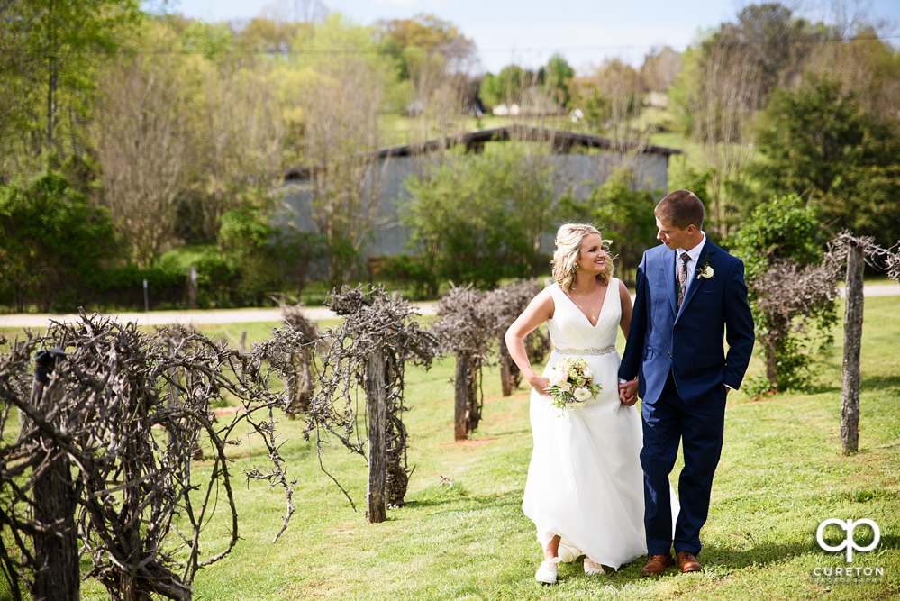 Bride and groom walking in the vineyard.