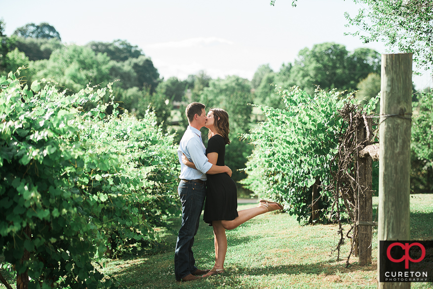 Couple kissing in the rows of grapevines.
