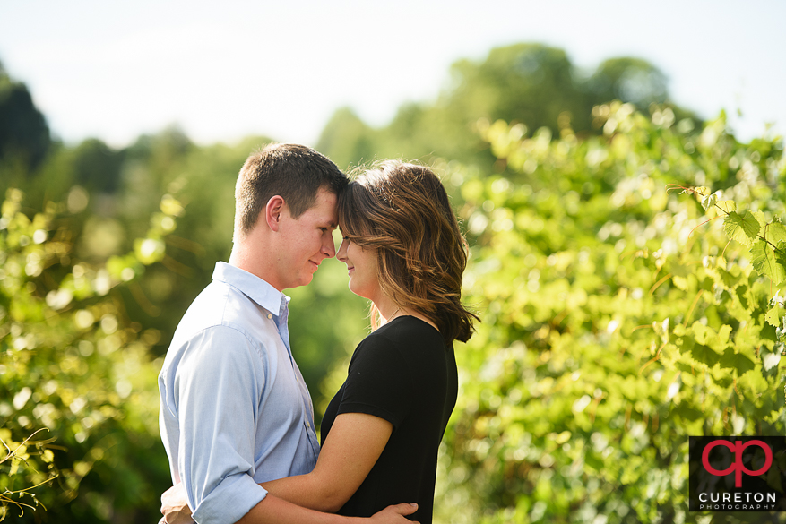Couple staring into each others eyes in the middle of a grape vineyard.