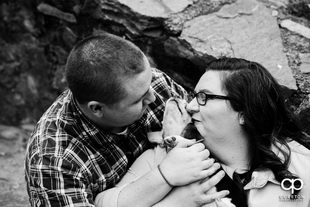Couple kissing their beagle during their engagement session with their puppy.