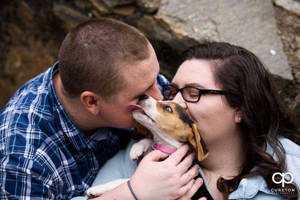 Beagle puppy kissing her owner during an engagement session in downtown Greenville.
