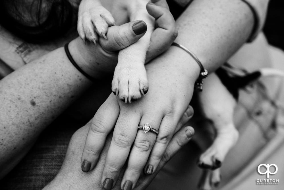 Engagement photo with puppy holding her paws near the ring.