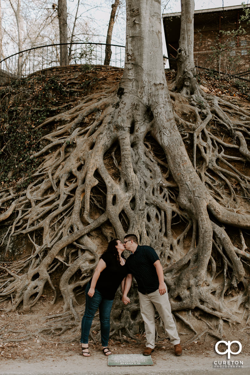 Engaged couple kissing under the roots tree downtown Greenville.