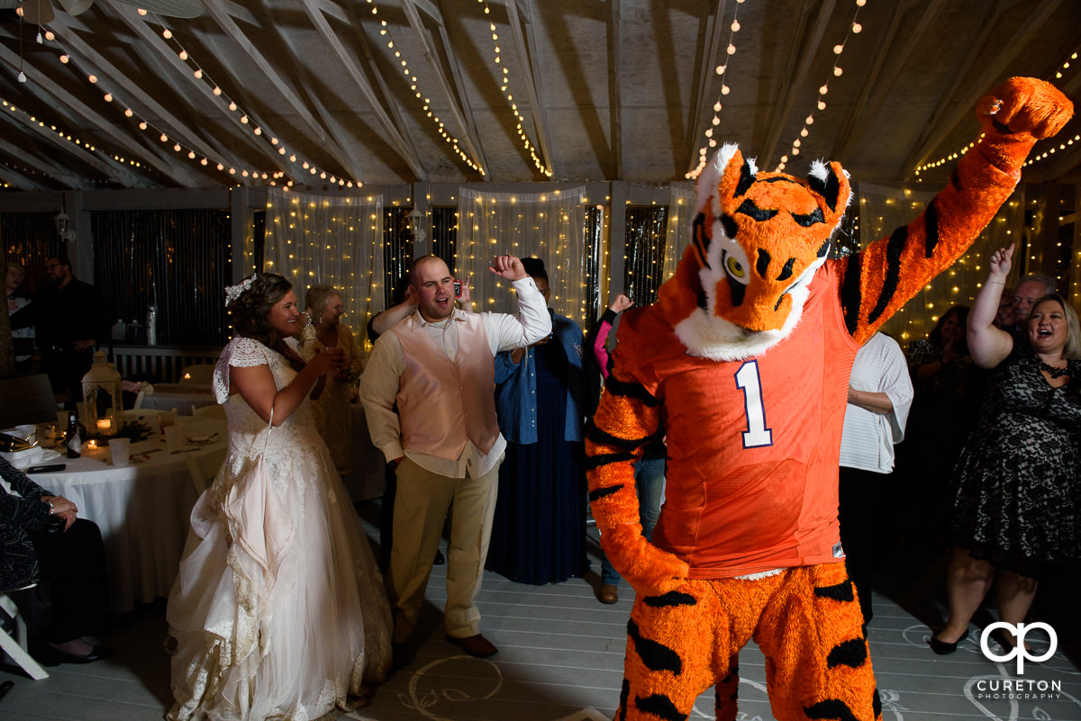 Bride and Groom wth the Clemson Tiger.