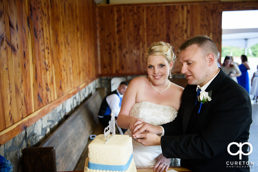 Bride and groom cutting the cake.