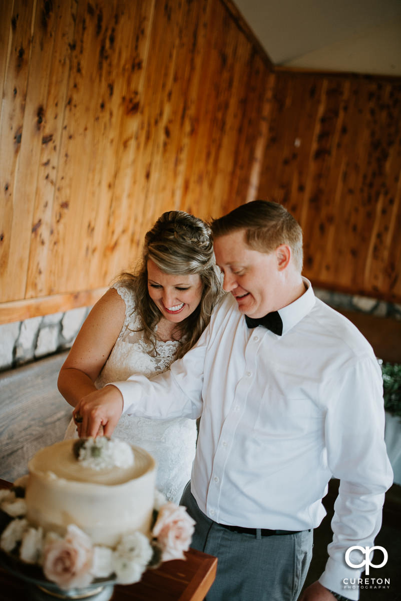 Bride and groom cutting the cake.