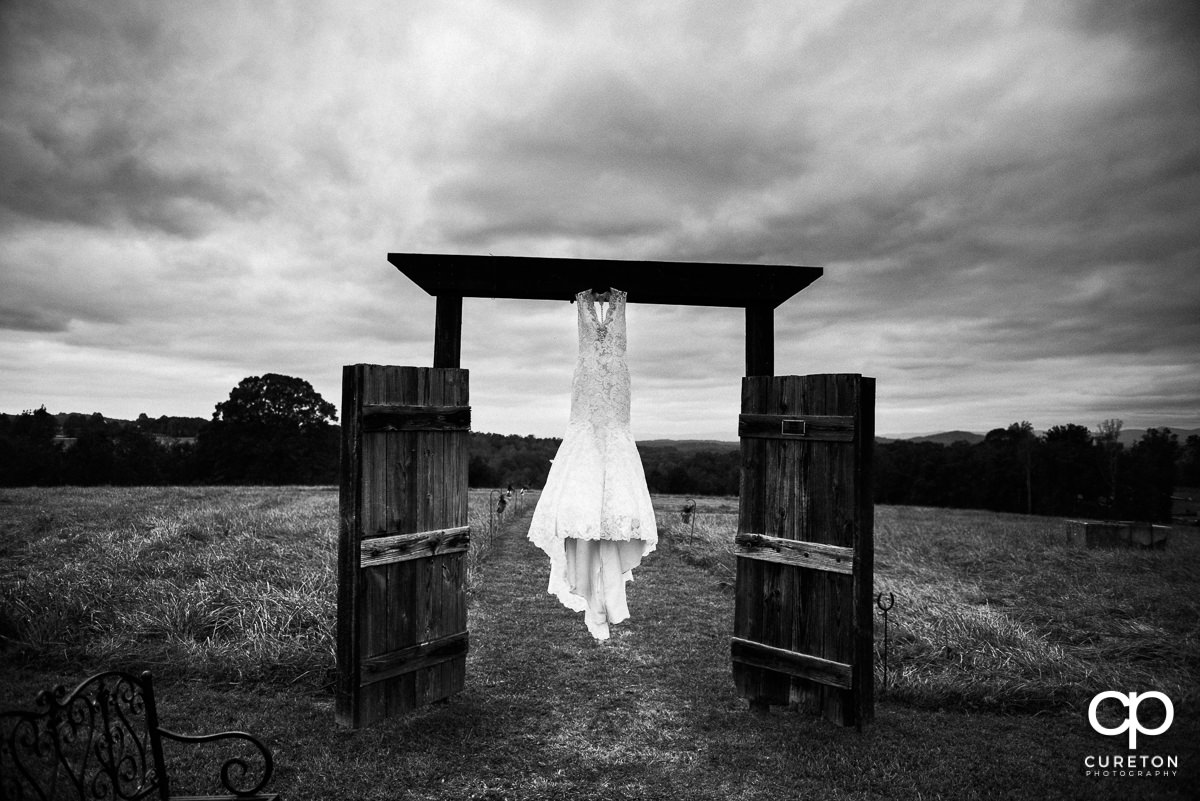 Bride's dress in a field.