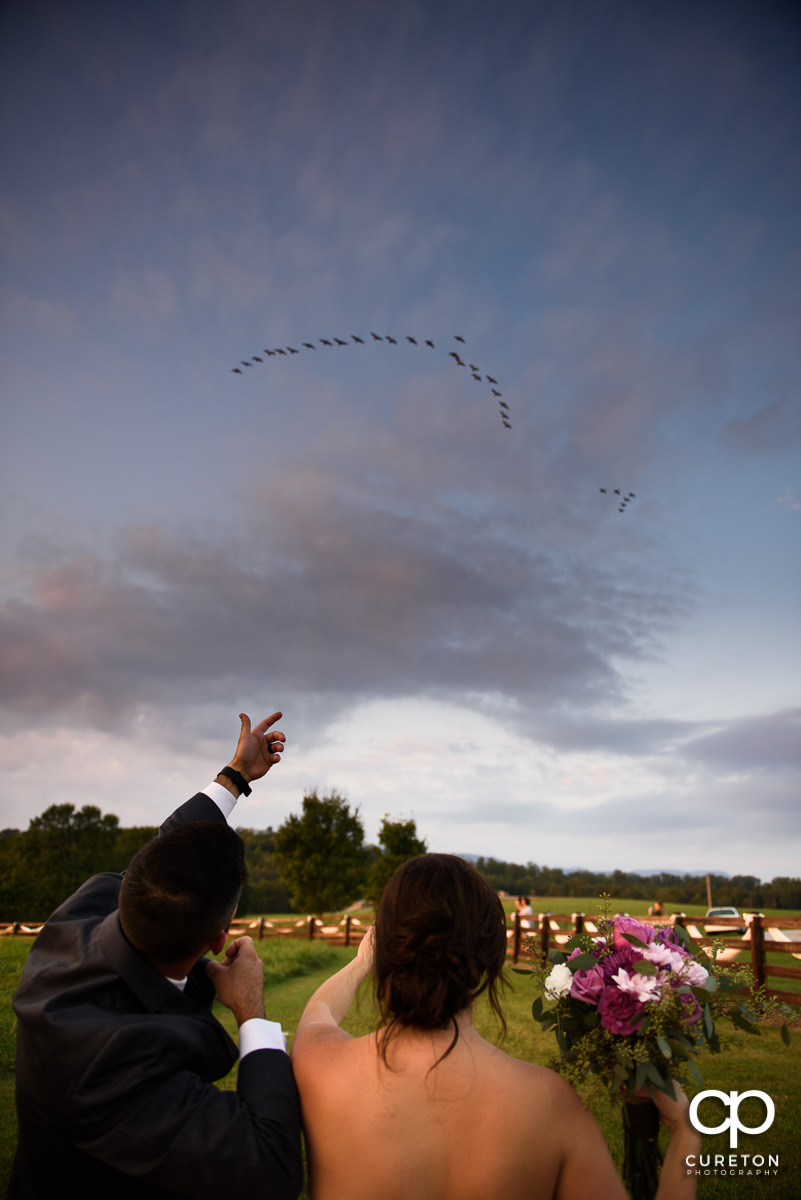 Bride and groom looking at birds overhead in the field.