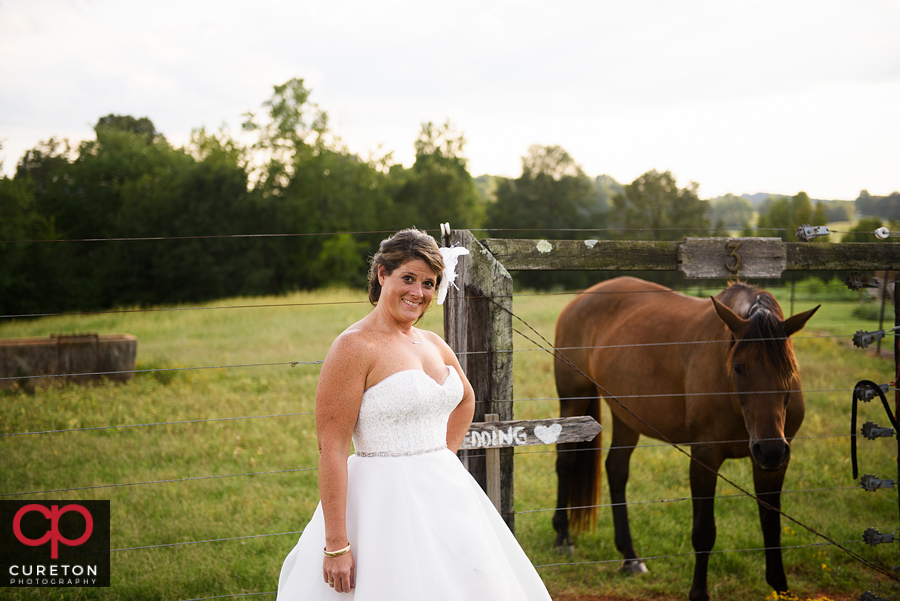 Bride and horse.