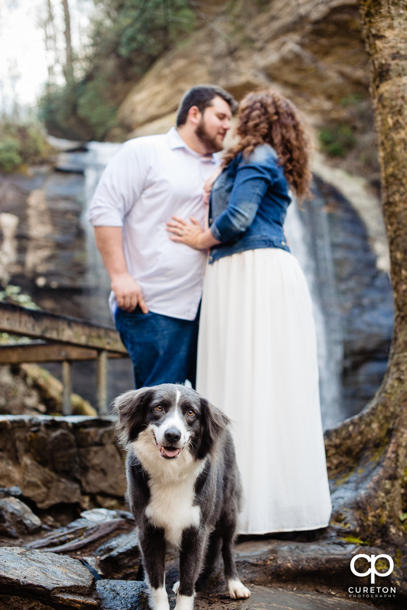 Bride and Groom taking a hike with their dog.