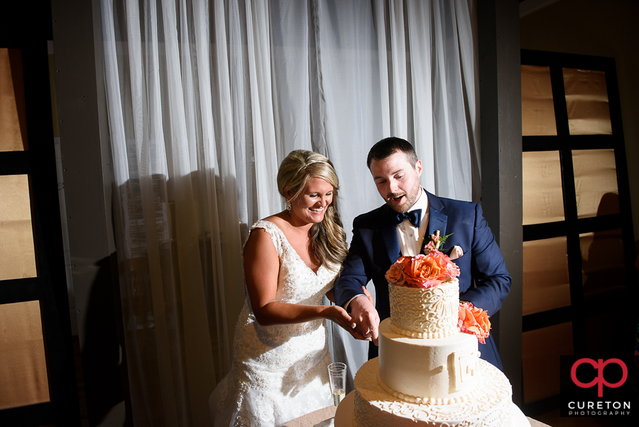 Bride and groom cutting the cake.