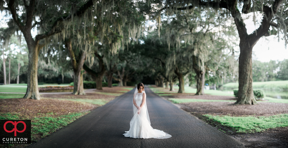 Bride standing in the middle of rows of live oak trees with Spanish moss hanging from them during a Myrtle Beach bridal session.