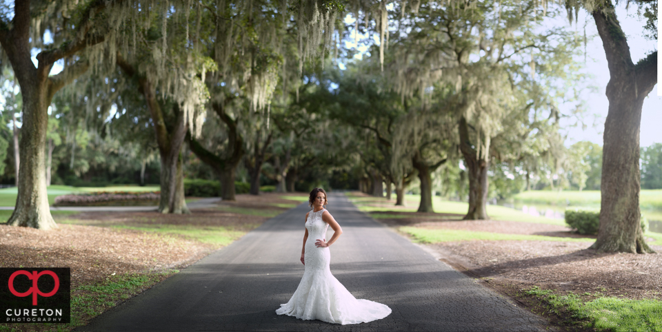 Beautiful bride with Spanish moss trees during a Myrtle Beach bridal session.