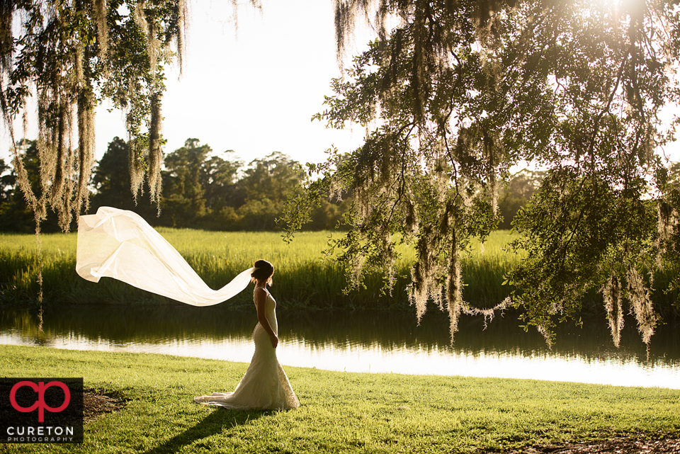 Bride standing in amazing sunlight with her veil blowing in the wind under Spanish moss trees during a Myrtle Beach bridal session.