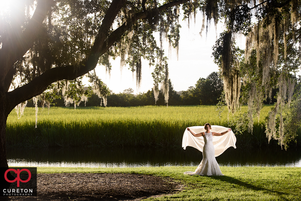 Brides standing under a huge live oak tree with her veil blowing in the wind and back lit by the sun.