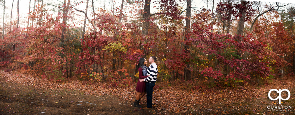 Engaged couple standing in the fall leaves at Paris Mountain.