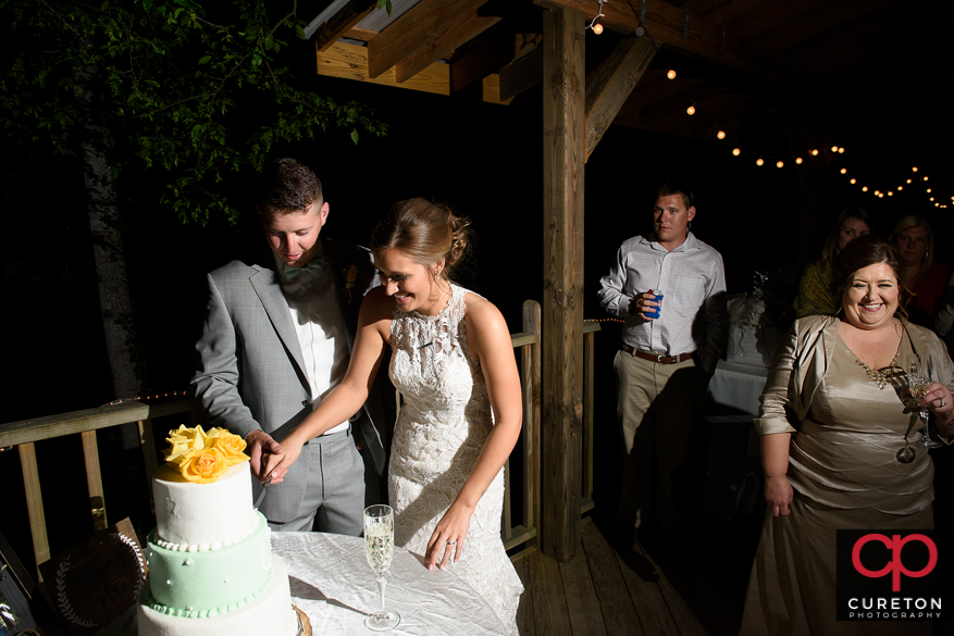 Bride and groom cut the cake.