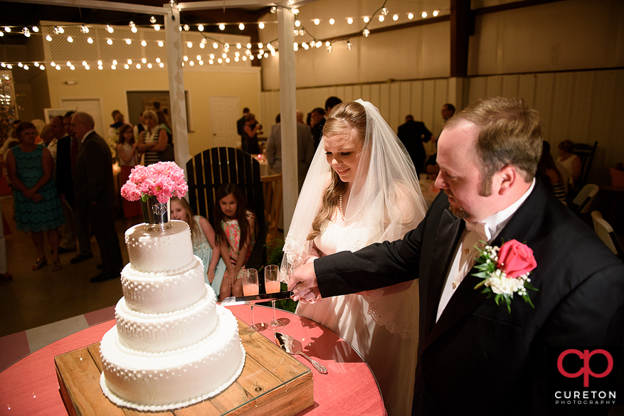 Bride and groom cutting the cake.