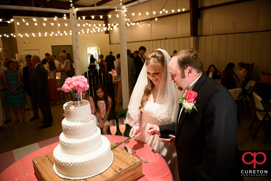 Bride and groom cutting the cake.