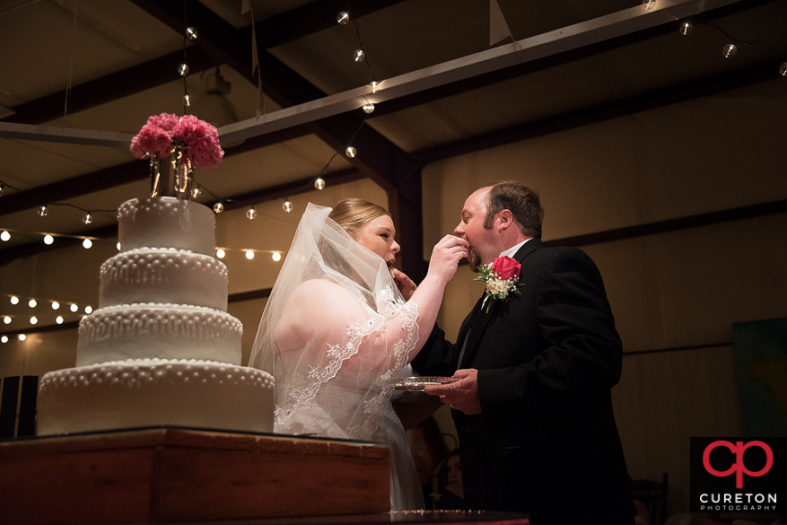 Bride and groom cutting the cake.