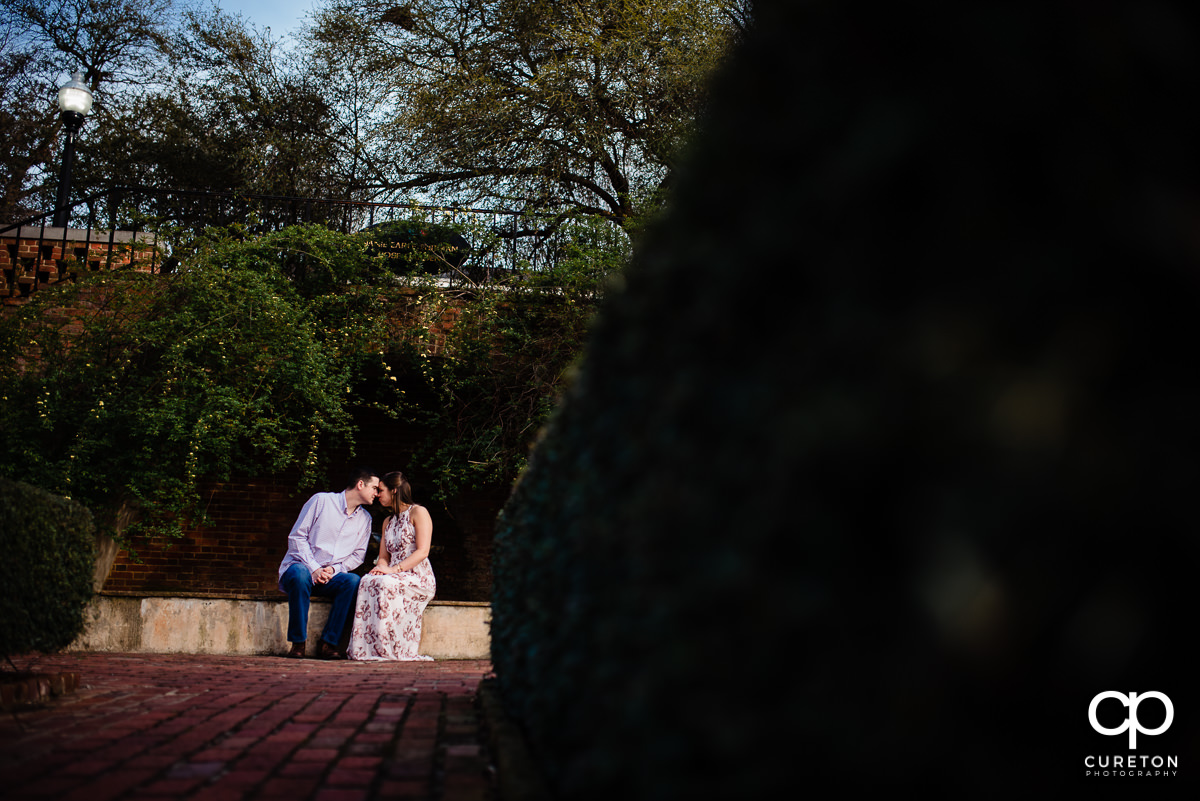 Man snuggling with his fiancee in the rose garden at Furman during an engagement session.