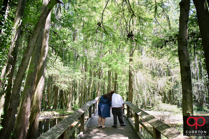 Lauren and RJ's engagement session at Swan Lake in Sumter,SC.