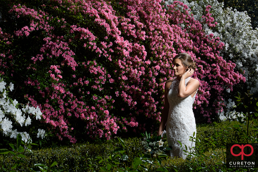 Bride in the rose garden at Furman.