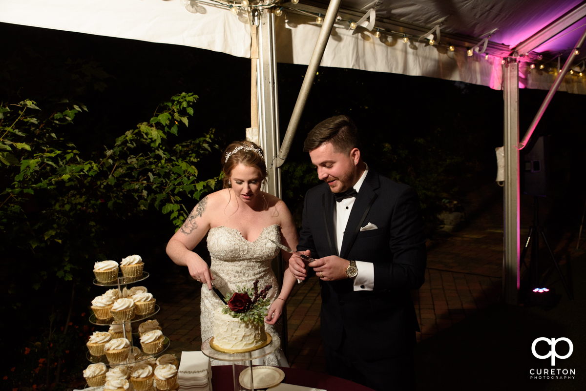 Bride and groom cutting their cake.