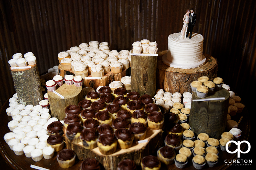 Beautiful cupcake display by Holly's cakes.