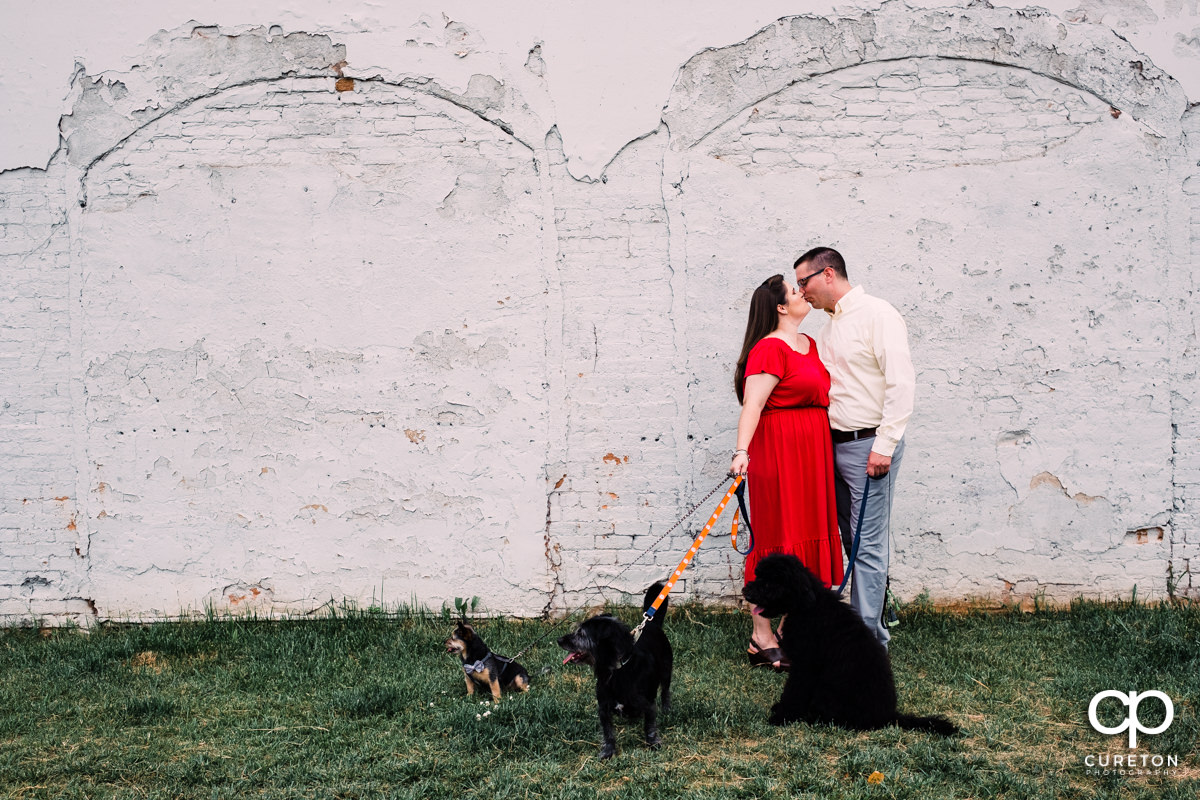 Couple kissing while holding their 3 dogs at a downtown Greenville SC engagement session.