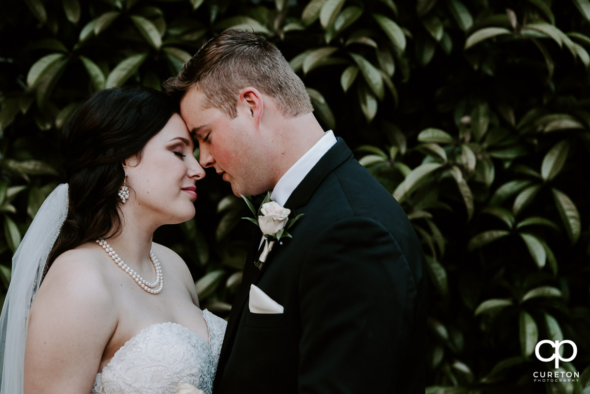 Groom and bride touching foreheads.