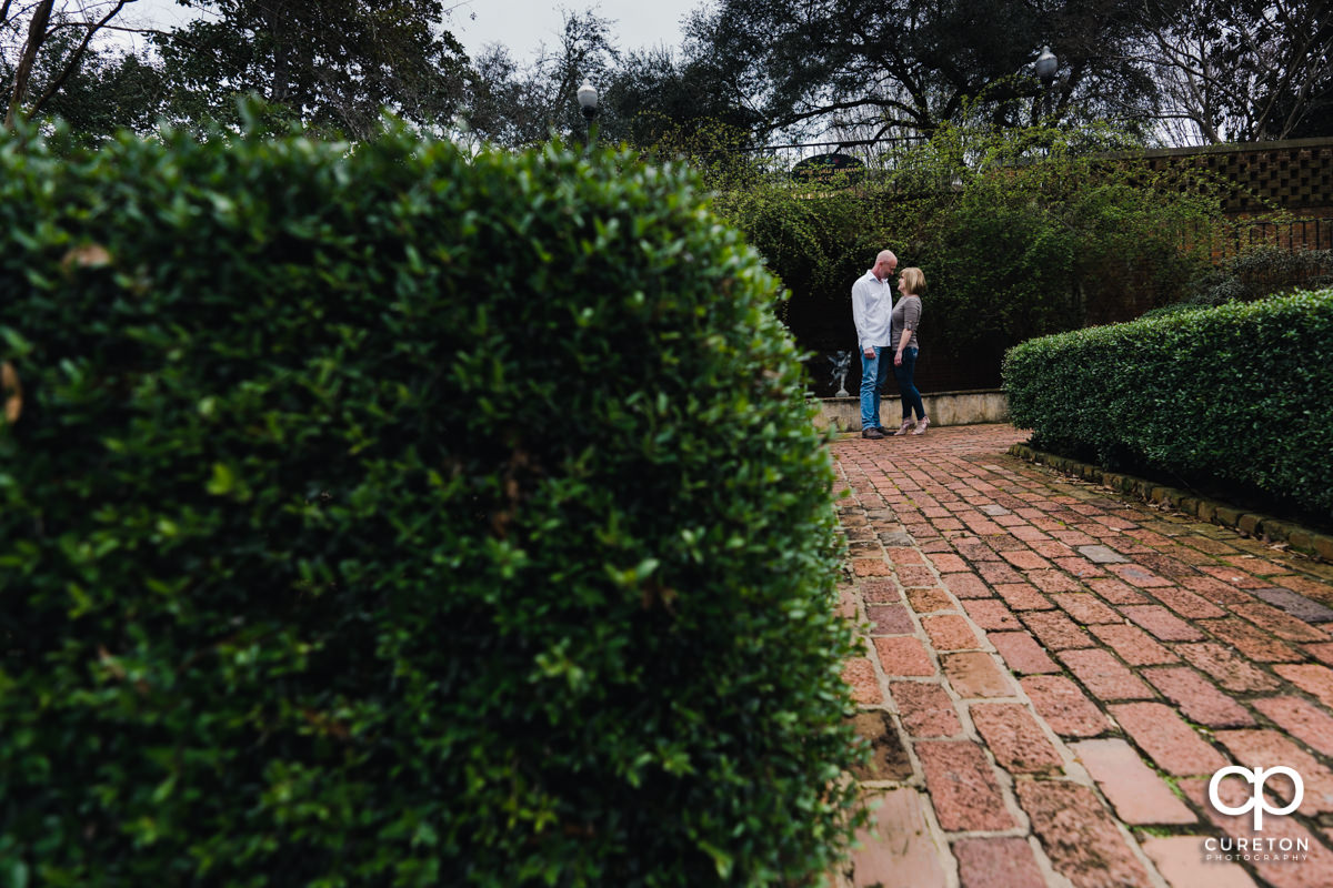 Engaged couple dancing in the rose garden during a Furman University winter Engagement session in Greenville,SC.