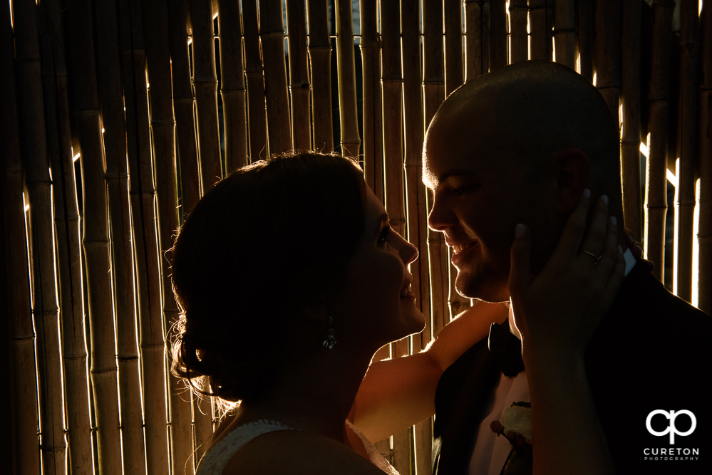 Bride and Groom silhouette during their wedding reception at Zen Greenville.